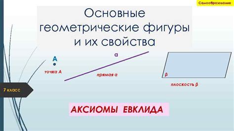 Геометрические свойства отрезка и способы расчета длины