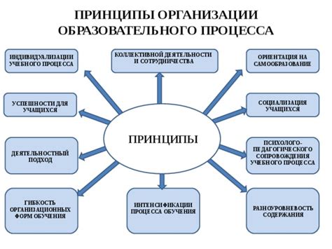 Гибкость образовательного процесса