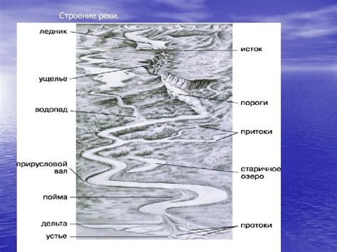 Гидрологическая структура реки