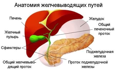 Гипертония и дискинезия желчных путей