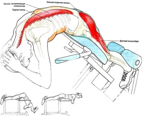 Гиперэкстензия спины лежа: