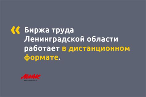 Глава 2: Организация работы биржи