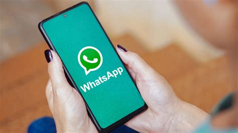 Глава 7: Советы по использованию WhatsApp без интернета