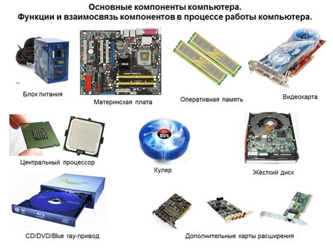 Главные компоненты