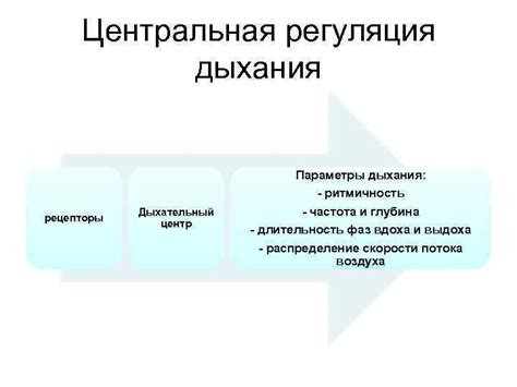 Глубина опускания грифа и дыхательный режим