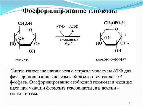 Глюкоза: основное определение