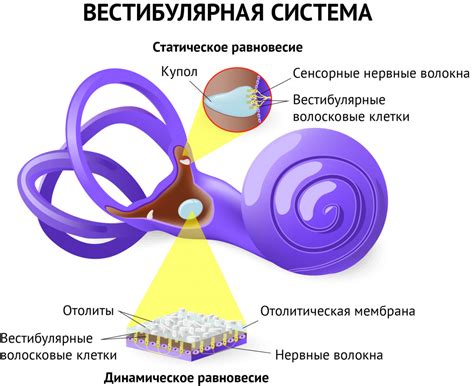 Головокружение: основные причины