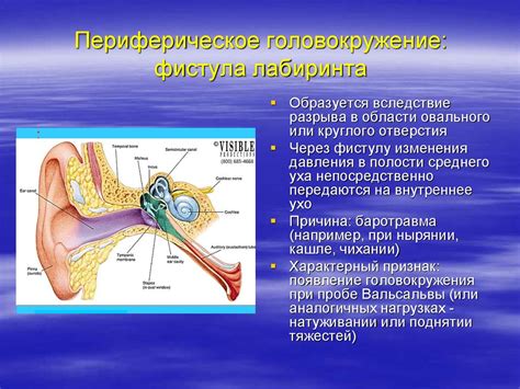 Головокружение и давление: связь и факторы