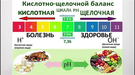 Гормональное влияние на кислотно-щелочной баланс