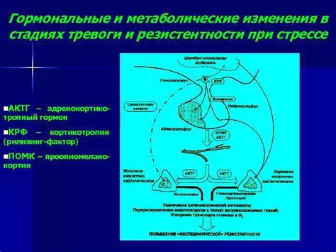 Гормональные изменения при стрессе