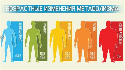 Гормональный фон и тонкое запястье у мужчин