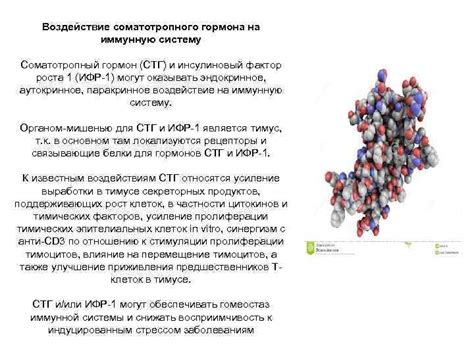 Гормон роста и его воздействие на иммунную систему