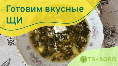 Готовим вкусные красные щи