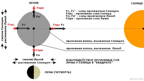 Гравитационное притяжение Луны и солнца