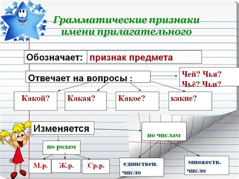 Грамматические признаки имен существительных