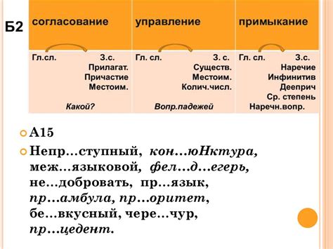 Грамматические характеристики имен существительных