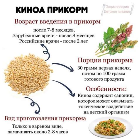 Гречка в диетическом питании: советы и рекомендации