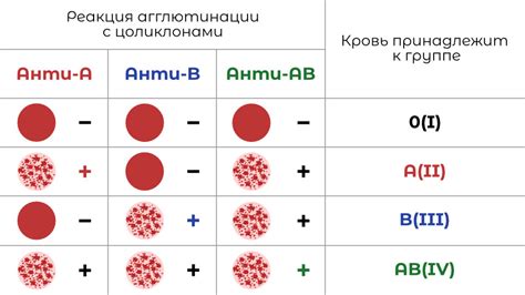 Группа крови: Как определить и что это значит