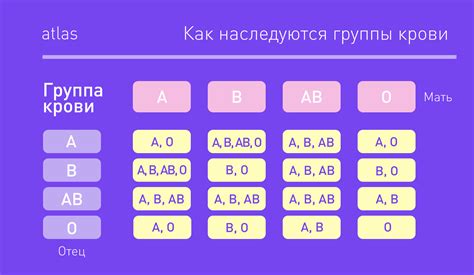 Группа крови: влияние на беременность и рождение