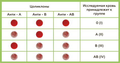 Группа крови: определение и классификация