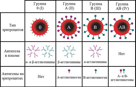 Группы лора и их особенности