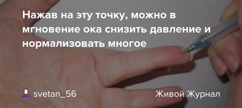 Давление и стечение - подготовка сока и пюре в мгновение ока