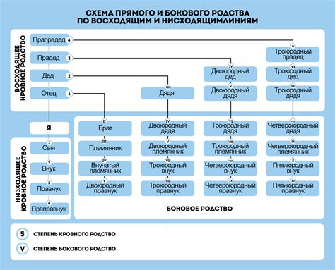 Двоюродная сестра как символ семейных связей и поддержки