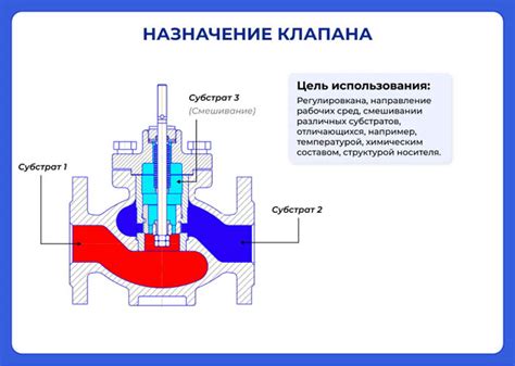 Двухстворчатый клапан: