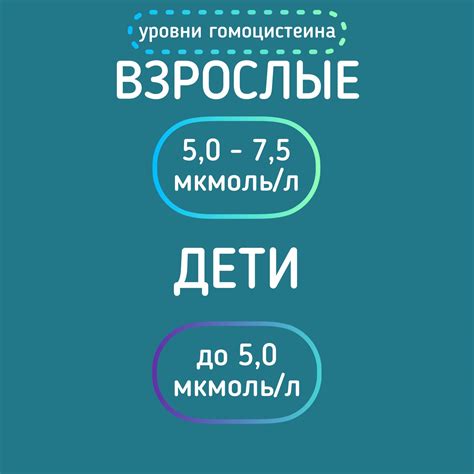 Действенные методы снижения гомоцистеина у женщин