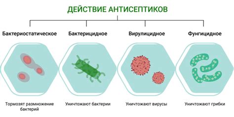 Действие антисептиков хиноксалина