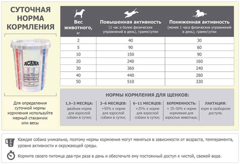 Действия при переедании собакой сухого корма