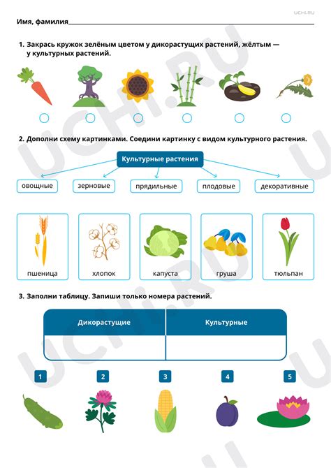 Действующие компоненты: сходство и различия