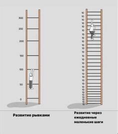 Делайте маленькие шаги каждый день