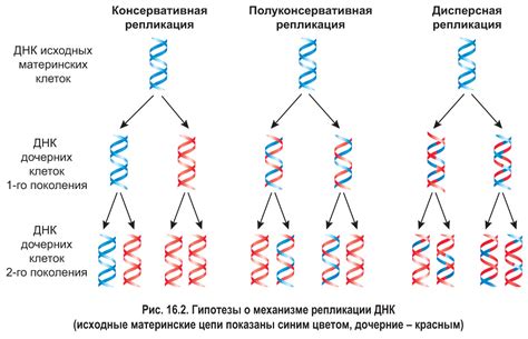 Деловая репликация после "выздоравливай"