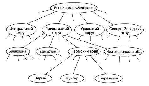 Дерево в информатике