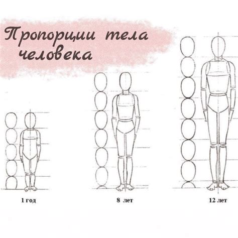 Детали и пропорции