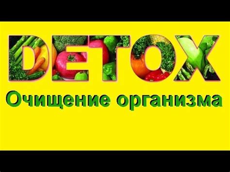 Детокс-продукты для эффективной очистки