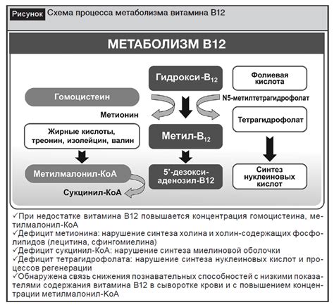 Дефицит витамина К