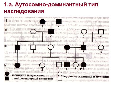 Диагностика аутосомно доминантного типа наследования