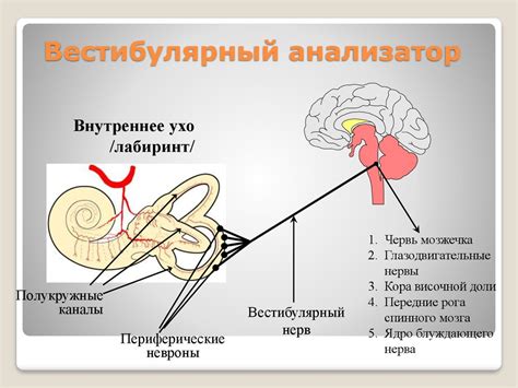 Диагностика головокружения