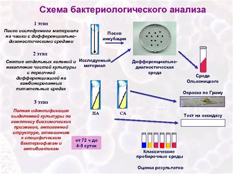 Диагностика и идентификация зависимостей