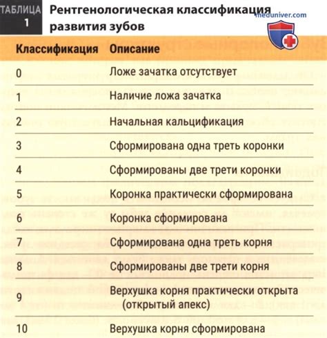 Диагностика и обследование при пахучей моче