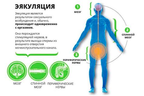 Диагностика проблемы и ее причины: