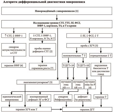 Диагностика стенотрофомонады мальтопфилии