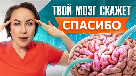 Диета и питание для улучшения когнитивных функций