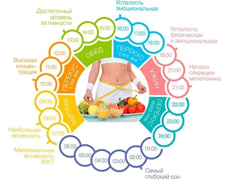 Диета и режим питания для поддержания оптимального веса и энергии