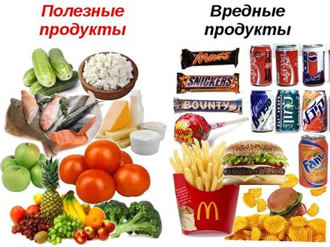 Диетические продукты и напитки: их полезные свойства и роль в питании при диете