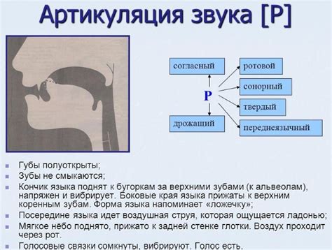 Дикция и артикуляция: как правильно произносить слова в песнях