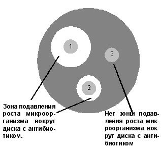 Диск-диффузионный метод