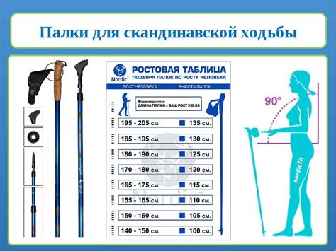 Длина палок и ваш рост